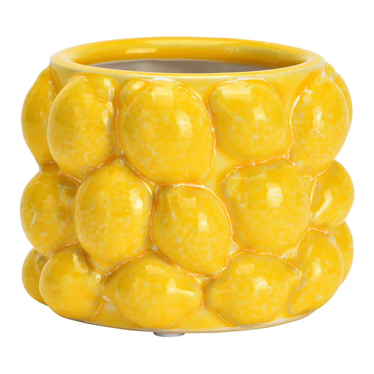 Ceramic Lemon Flower Pot